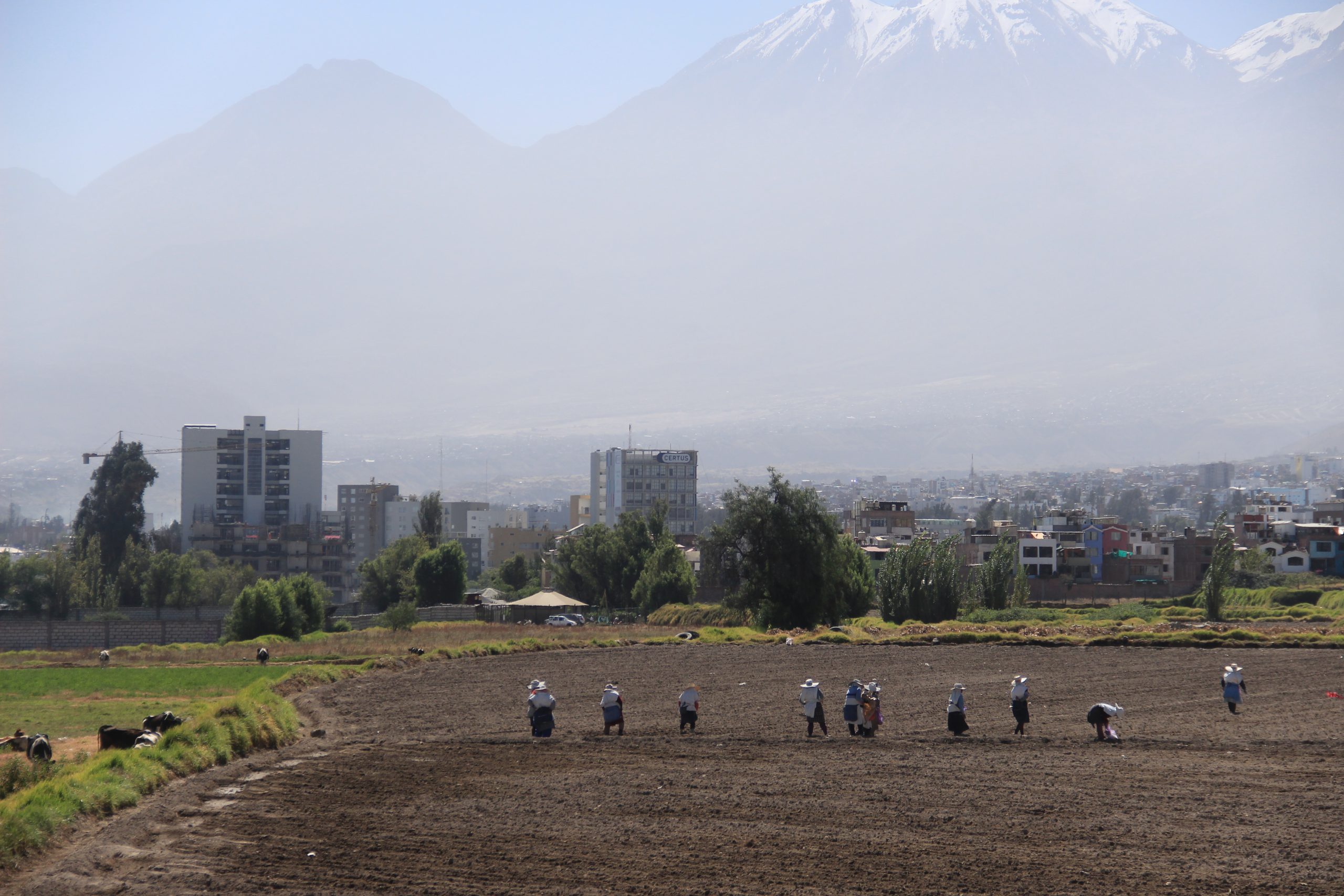 Impulsan participación ciudadana en el nuevo Plan de Desarrollo Metropolitano