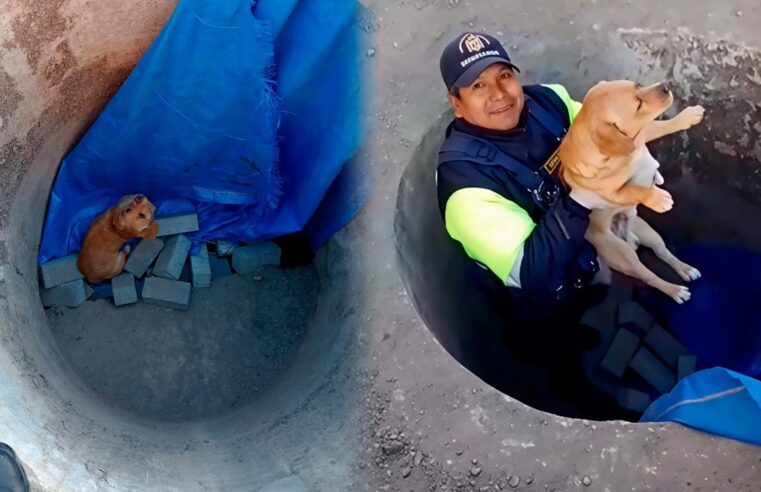 FOTO DE HOY MIERCOLES 22 DE OCTUBRE