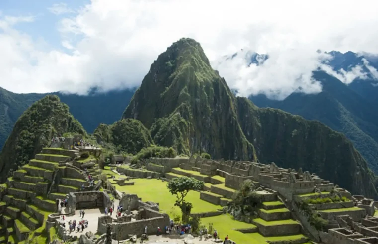 Reforestarán 570 hectáreas en santuario de Machu Picchu