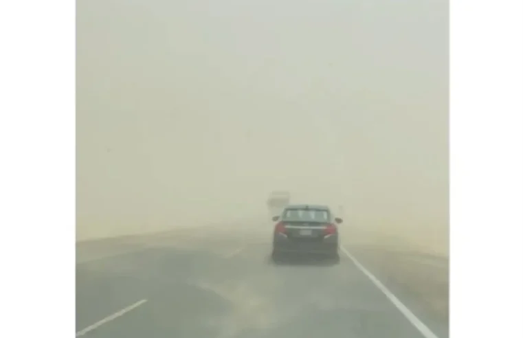 Vientos fuertes afectan y obliga a suspender salidas a islas Ballestas