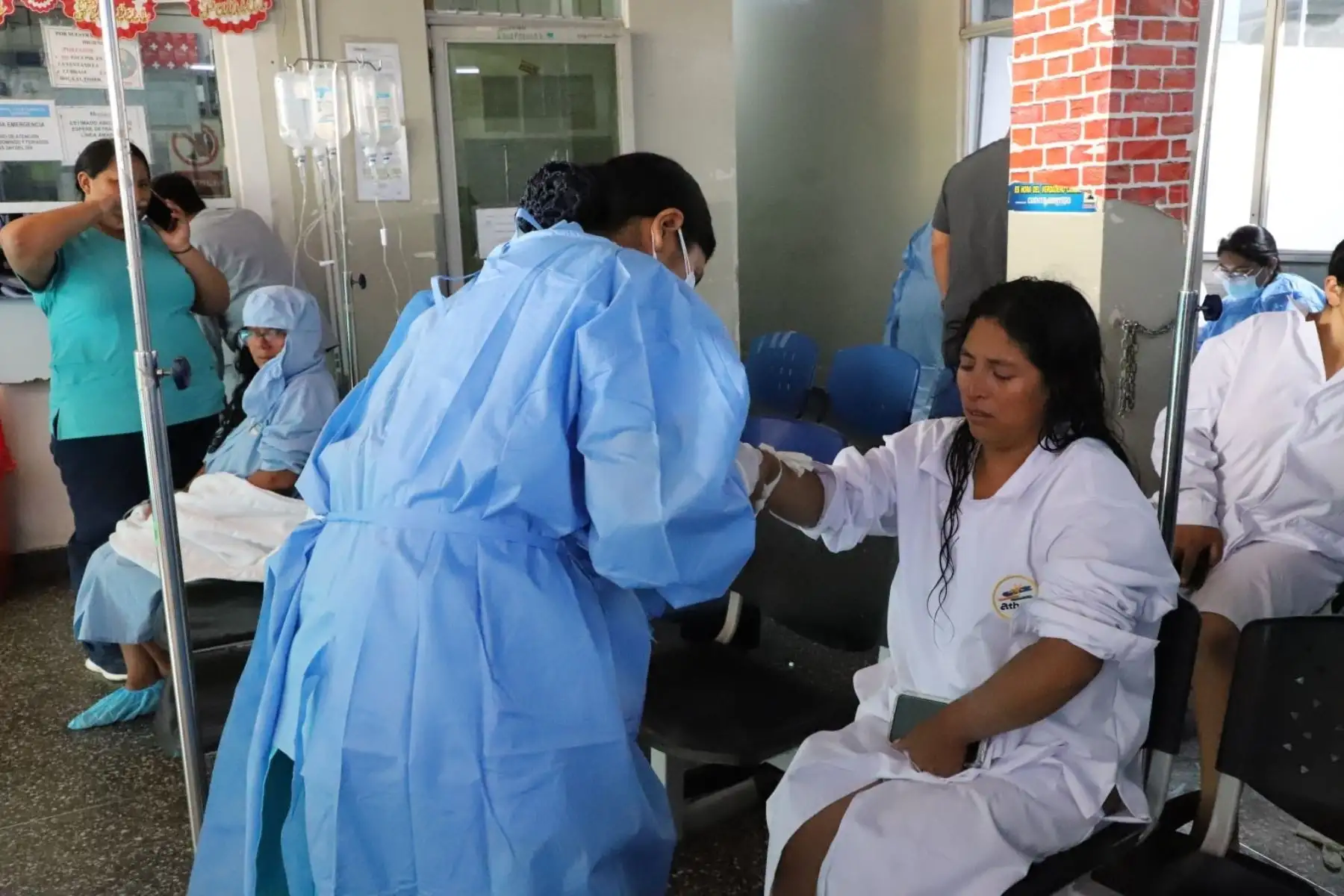 Fungicida de uso agrícola habría intoxicado a 62 trabajadores