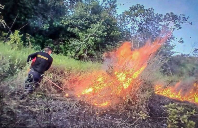 Advierten que incendios forestales se prolongarían hasta diciembre