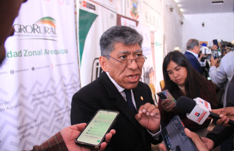 La mitad de microempresas en Arequipa opera en la informalidad