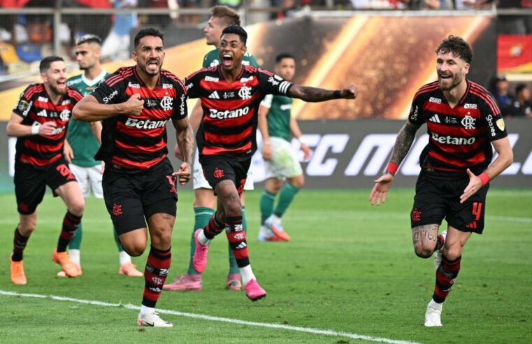 Brasil festeja su vigésimo quinto título gracias a Flamengo