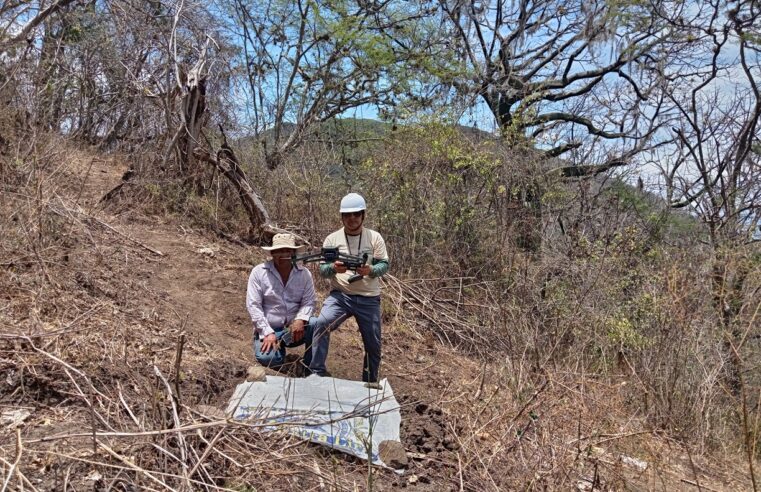 Emplean drones para reforzar la supervisión del bosque seco