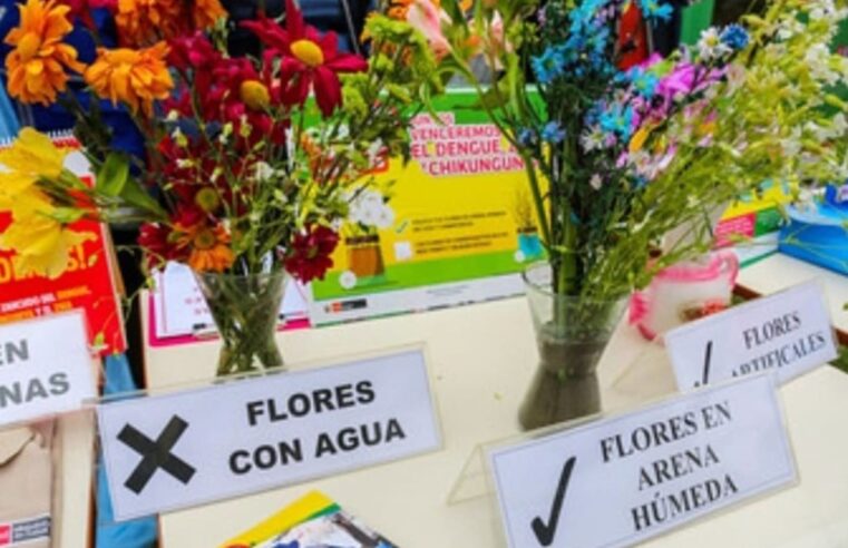 Salud: evitemos los zancudos en cementerios de la ciudad