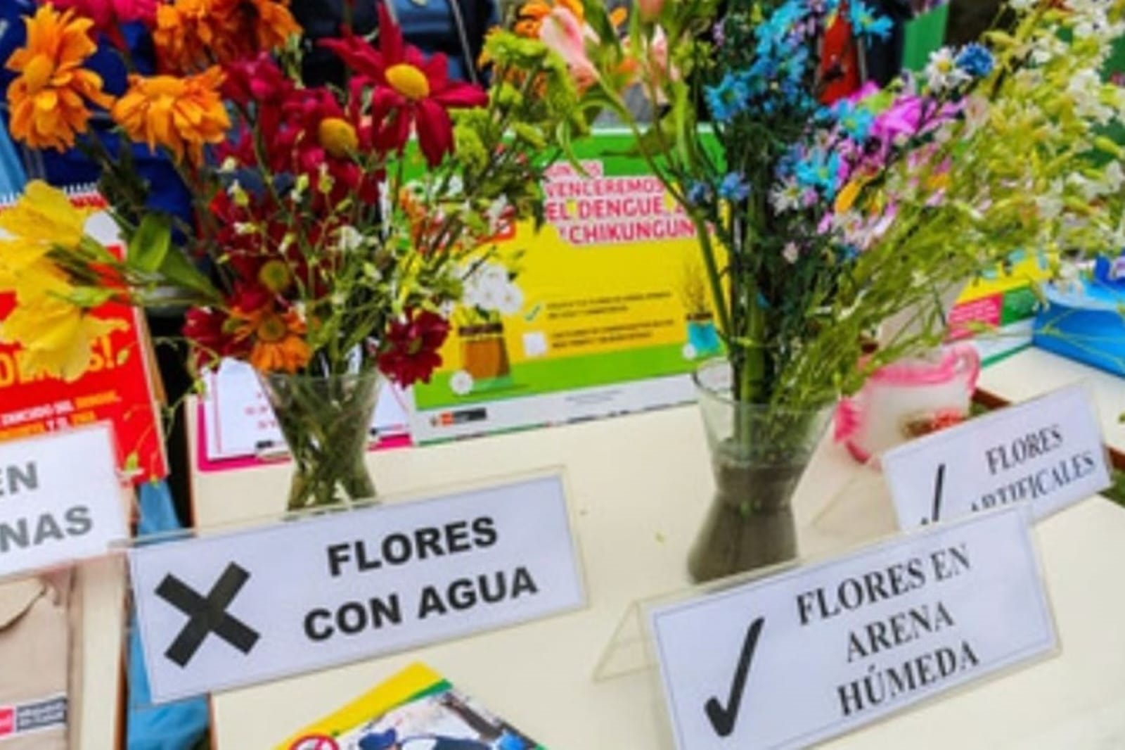 Salud: evitemos los zancudos en cementerios de la ciudad