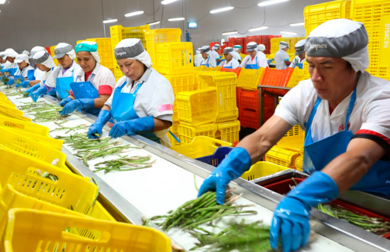 Elevan proyección de exportaciones a nivel récord de US$ 85 000 millones