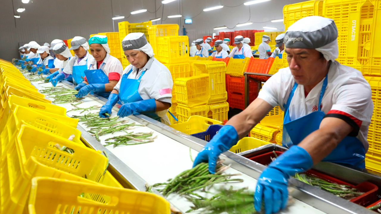 Elevan proyección de exportaciones a nivel récord de US$ 85 000 millones