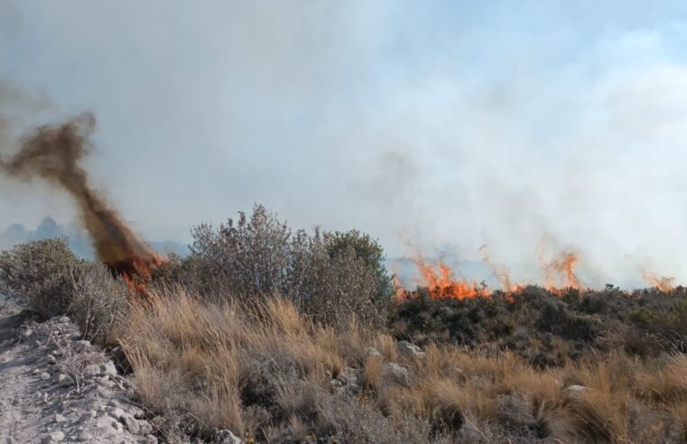 Reportan incendio forestal en el distrito de Chiguata