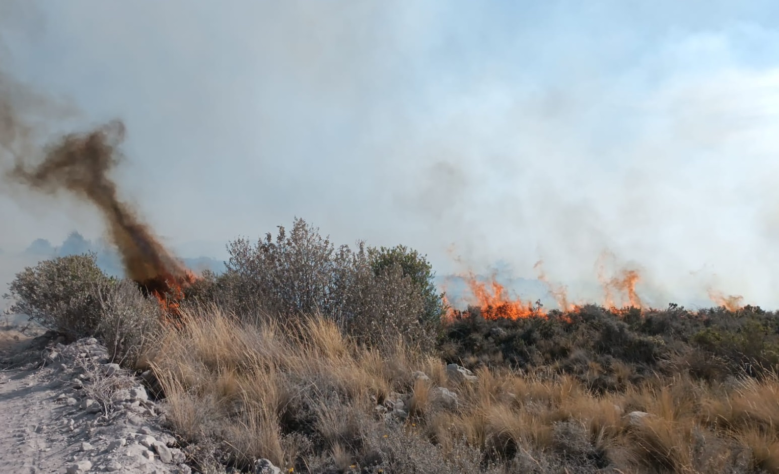 Reportan incendio forestal en el distrito de Chiguata