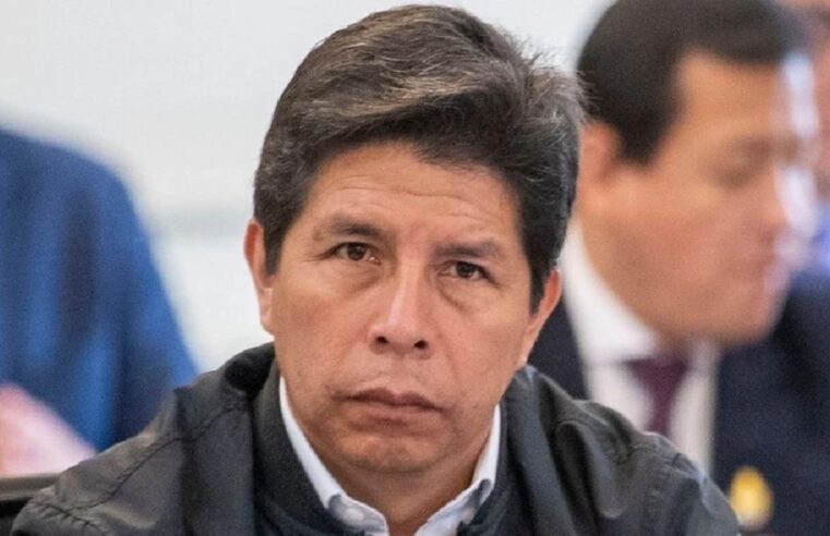 Castillo denuncia a congresistas que votaron a favor de vacancia