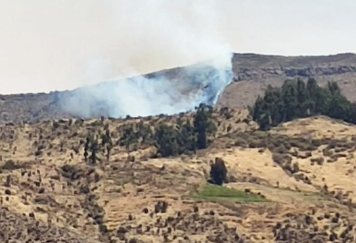 Incendio forestal afecta distrito de Andaray en Condesuyos