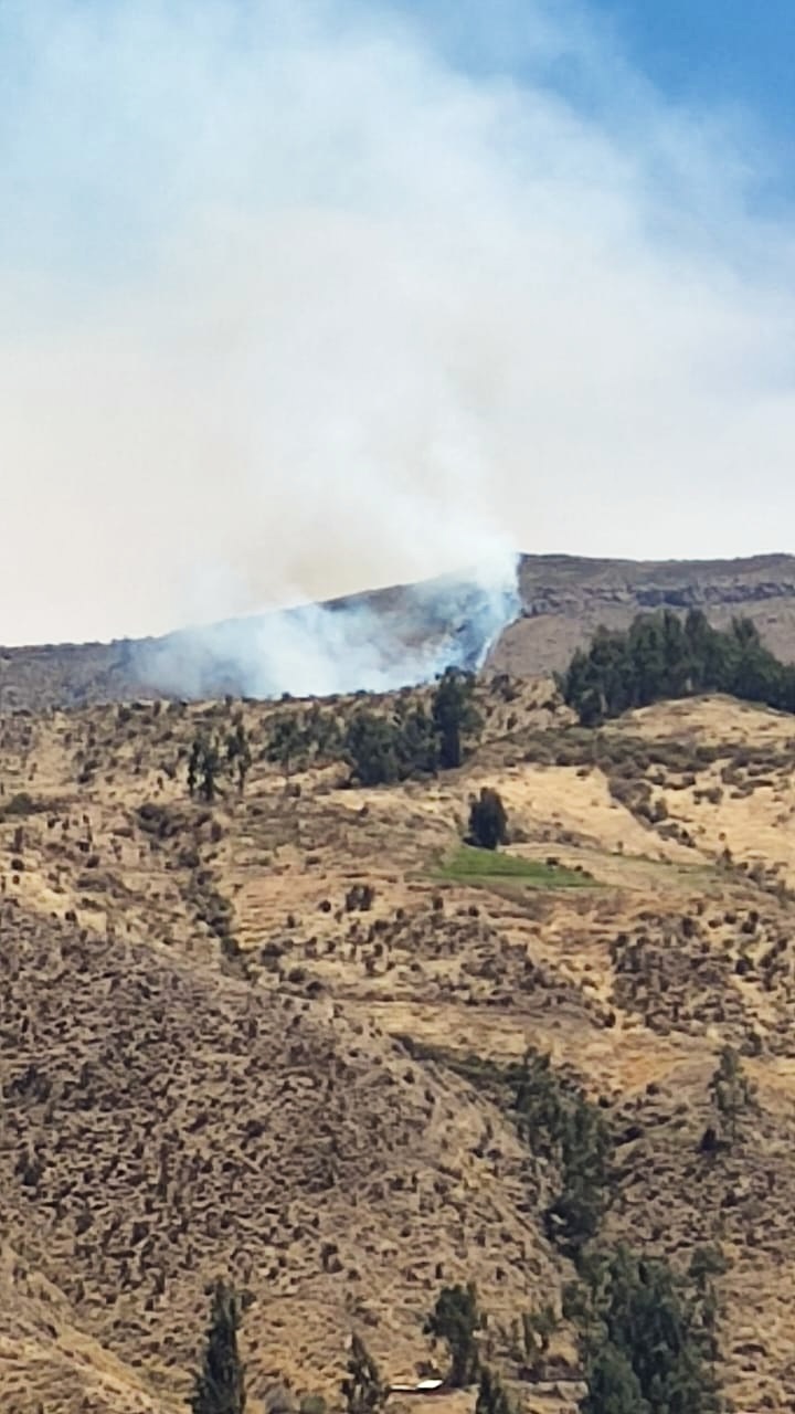 Incendio forestal afecta distrito de Andaray en Condesuyos