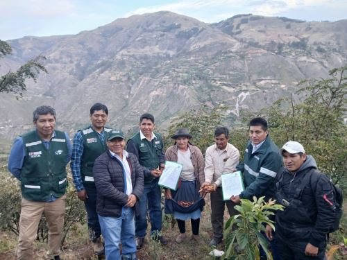 Formalizan a 100 productores de tara e impulsan competitividad del producto