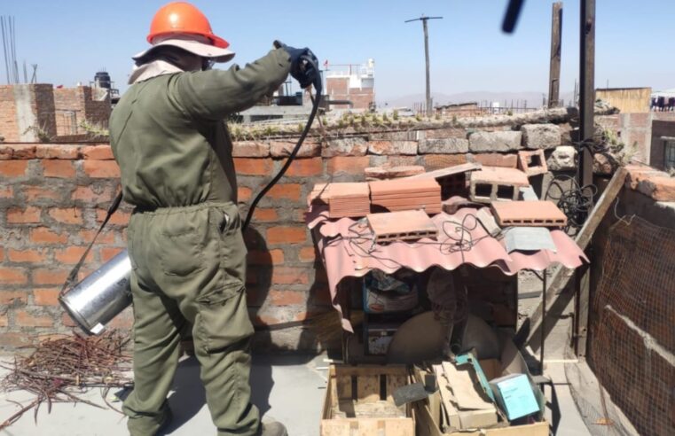 Alerta y fumiga tu casa contra las chirimachas