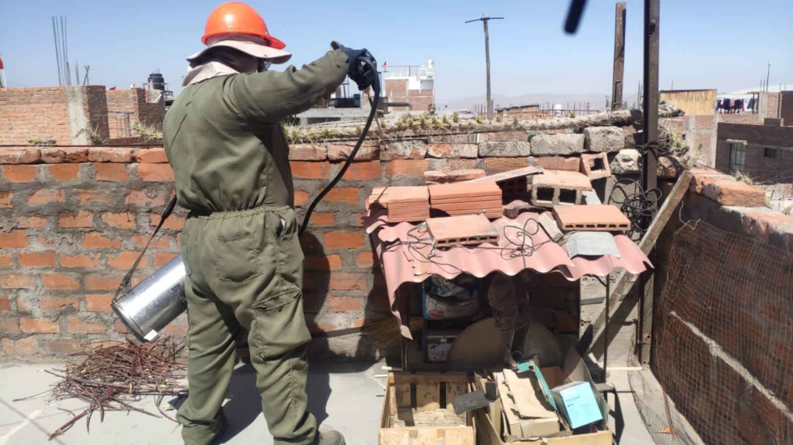 Alerta y fumiga tu casa contra las chirimachas