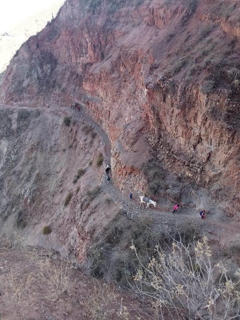 Más de 300 pobladores en riesgo por falta de financiamiento para trocha carrozable en Caspi