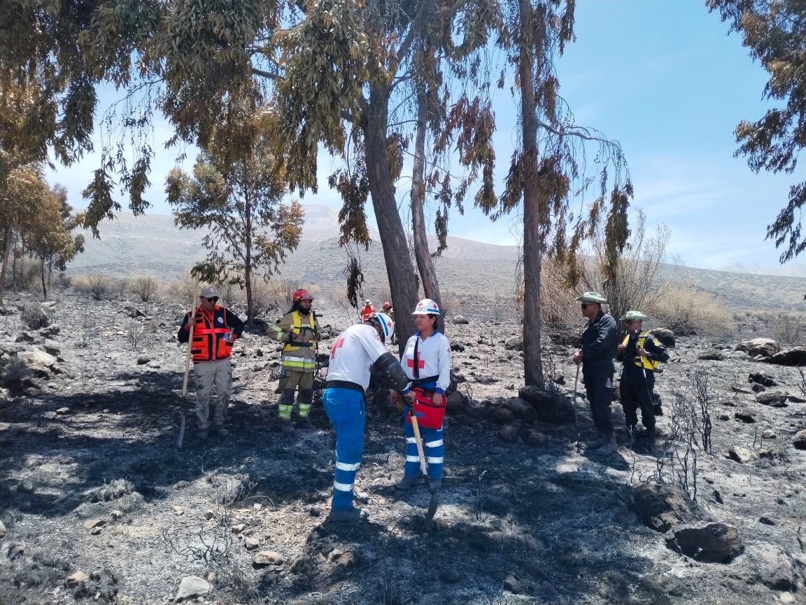 Confirman extinción total del incendio forestal en Chiguata