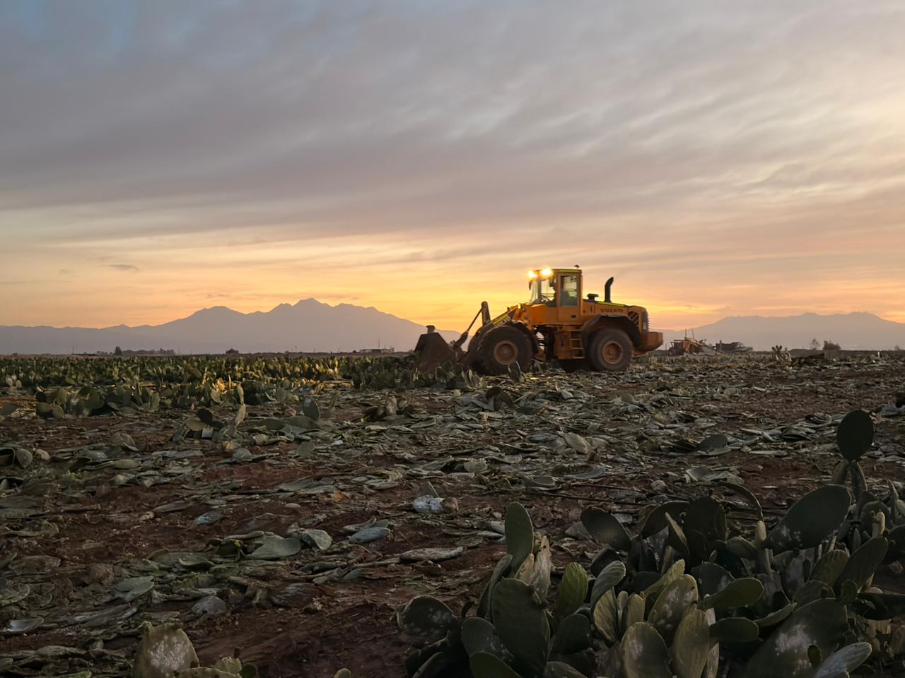 Recuperan más de 100 hectáreas de predios invadidos en Santa Rita