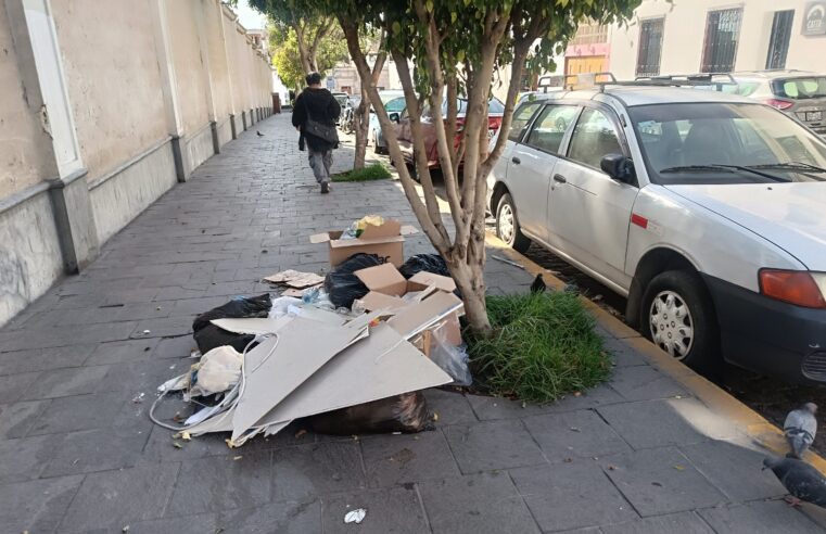 FOTO DE HOY SABADO 08 DE NOVIEMBRE