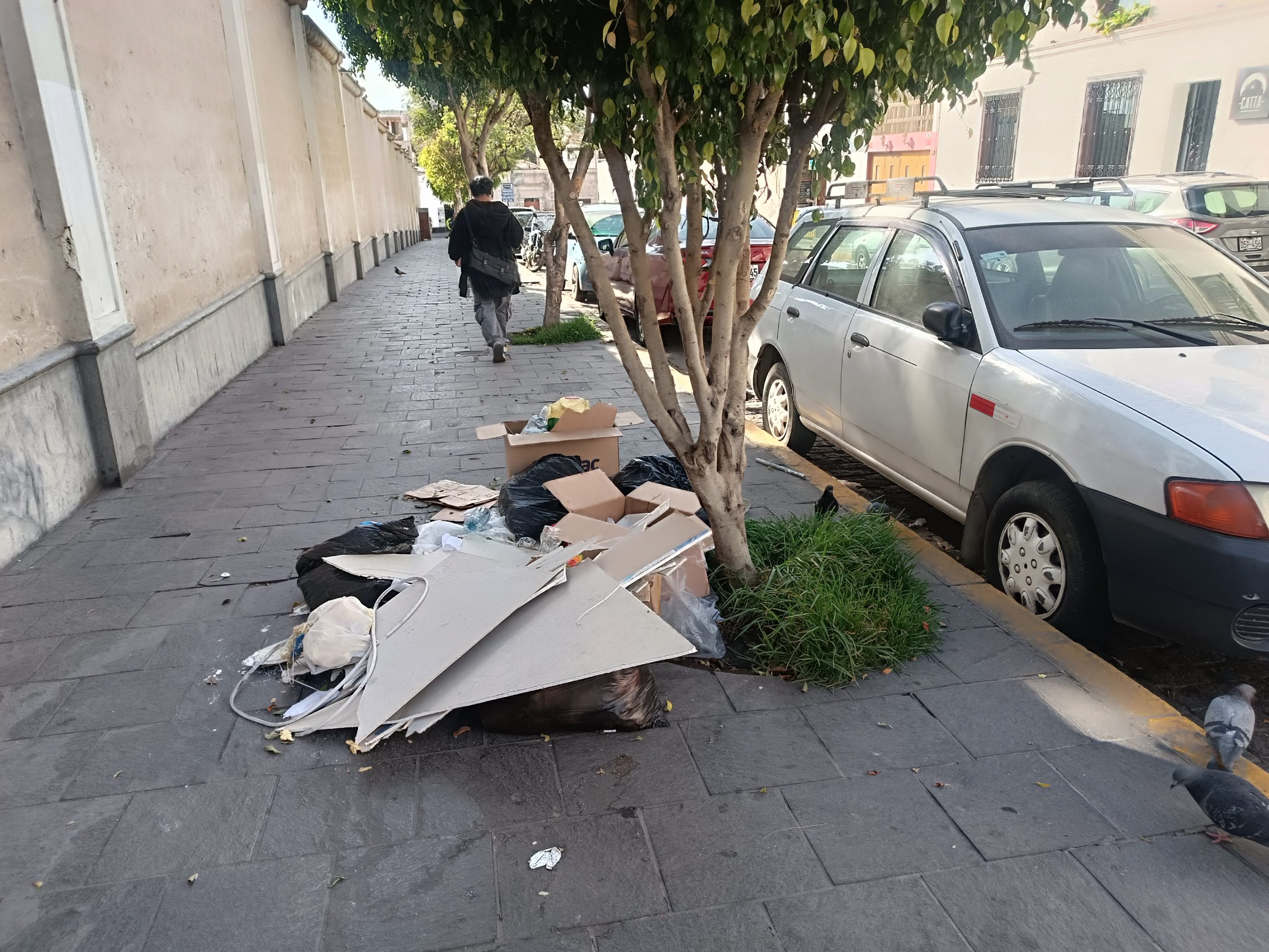 FOTO DE HOY SABADO 08 DE NOVIEMBRE