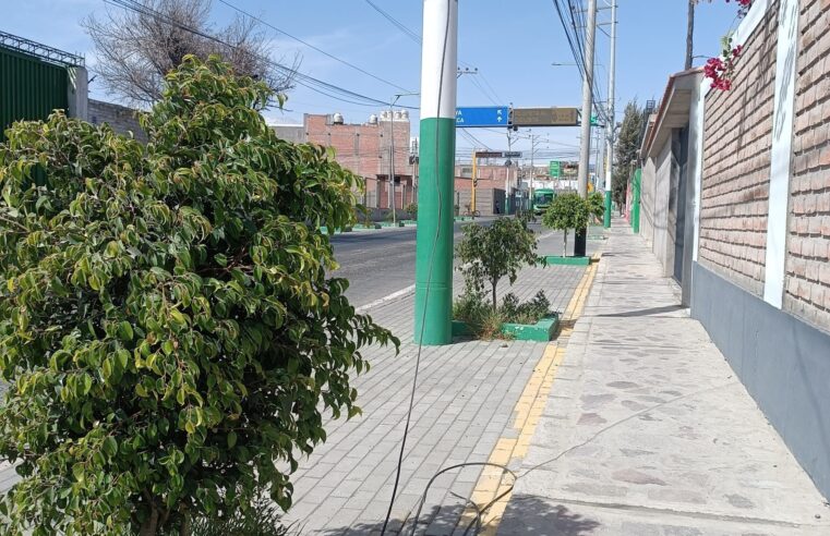 FOTO DE HOY LUNES 17 DE NOVIEMBRE