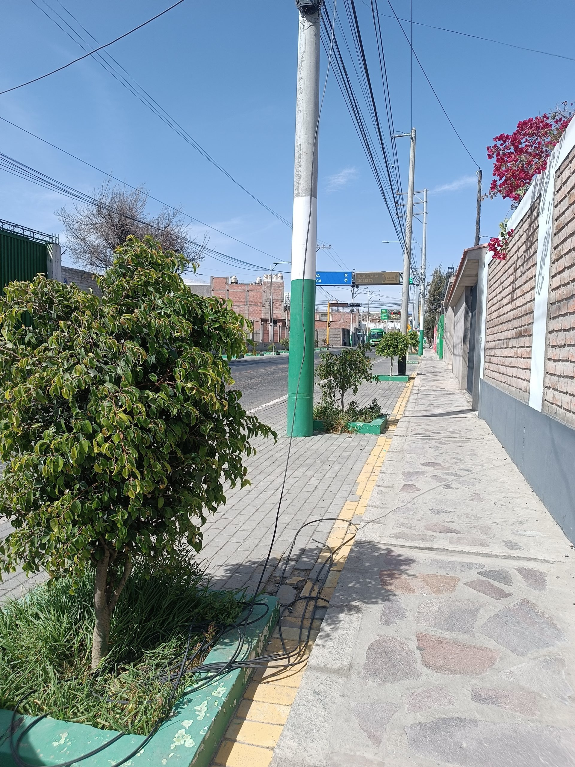 FOTO DE HOY LUNES 17 DE NOVIEMBRE