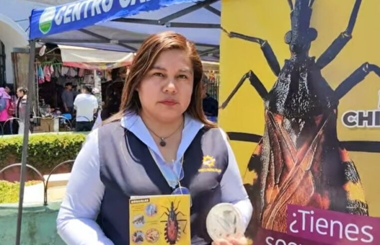 Arequipa registra seis casos crónicos de chagas y hasta 900 reportes por presencia de chirimachas