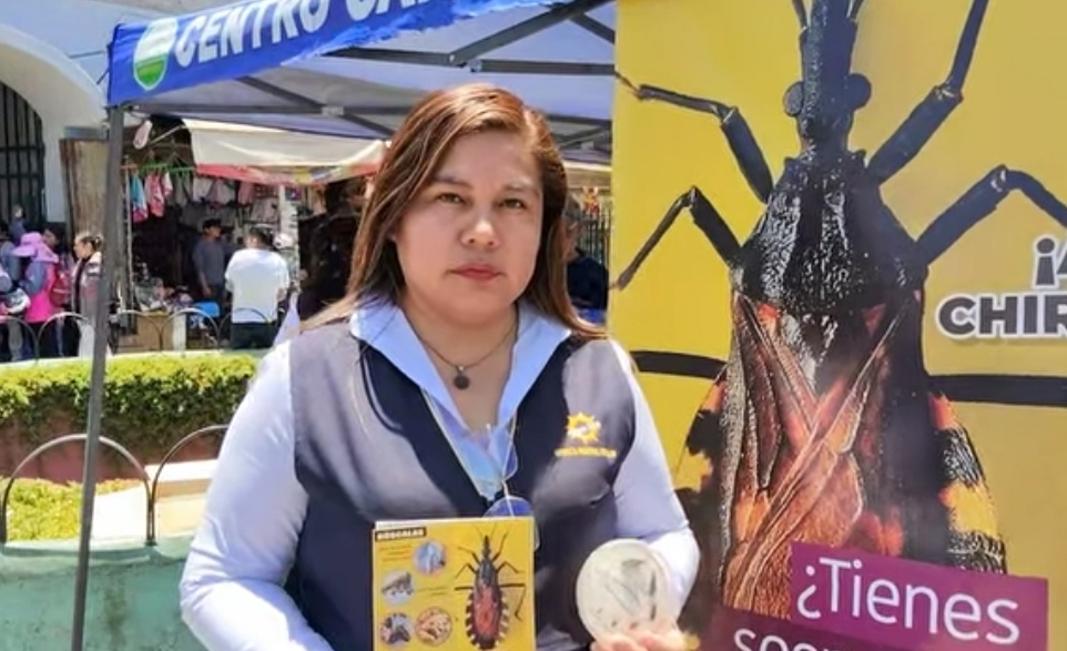 Arequipa registra seis casos crónicos de chagas y hasta 900 reportes por presencia de chirimachas