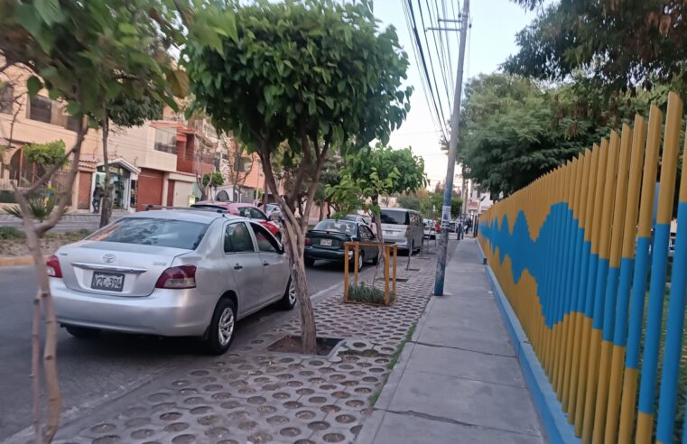 FOTO DE HOY JUEVES 20 DE NOVIEMBRE