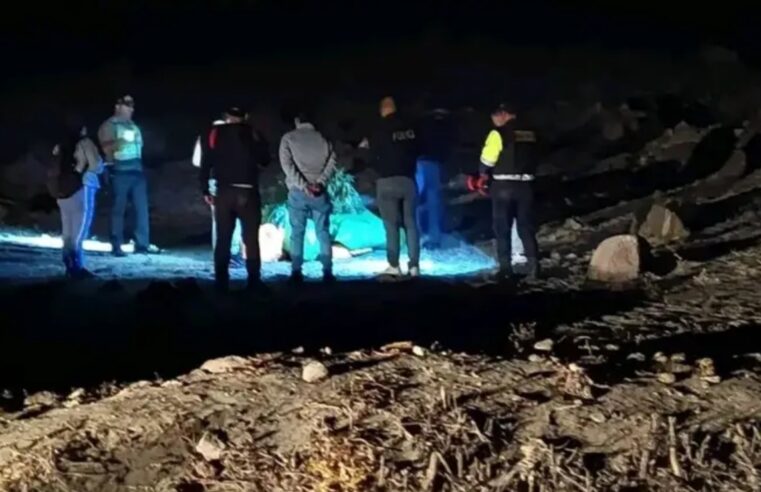 Detectan plantaciones de marihuana en La Joya