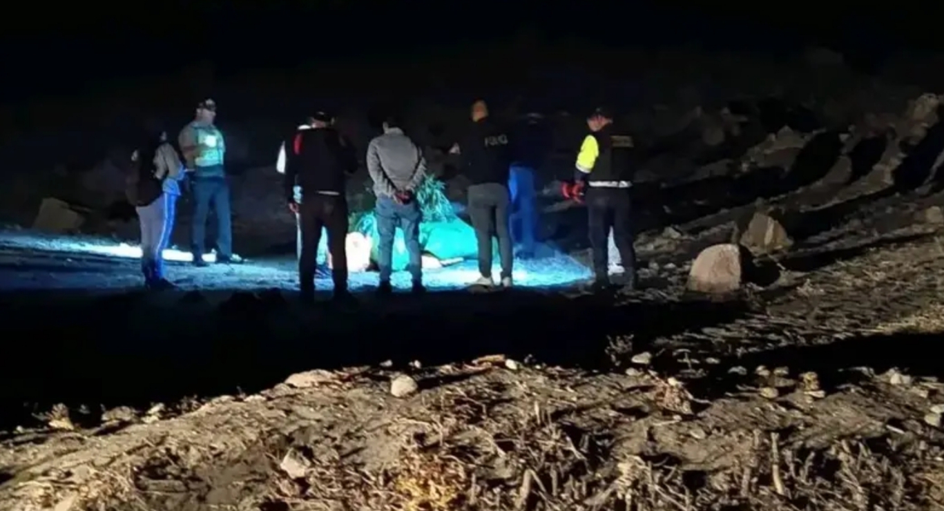 Detectan plantaciones de marihuana en La Joya