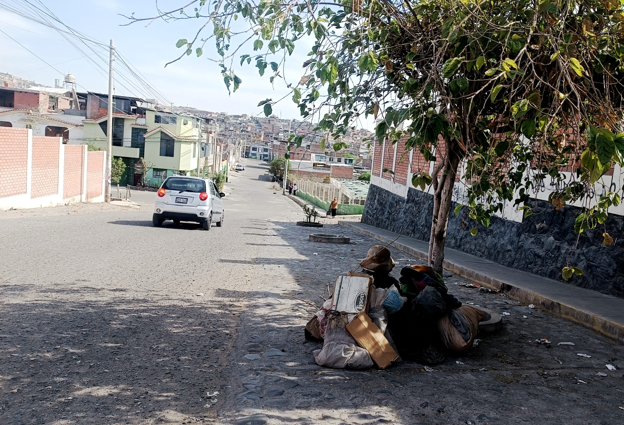 FOTO DE HOY SABADO 29 DE NOVIEMBRE