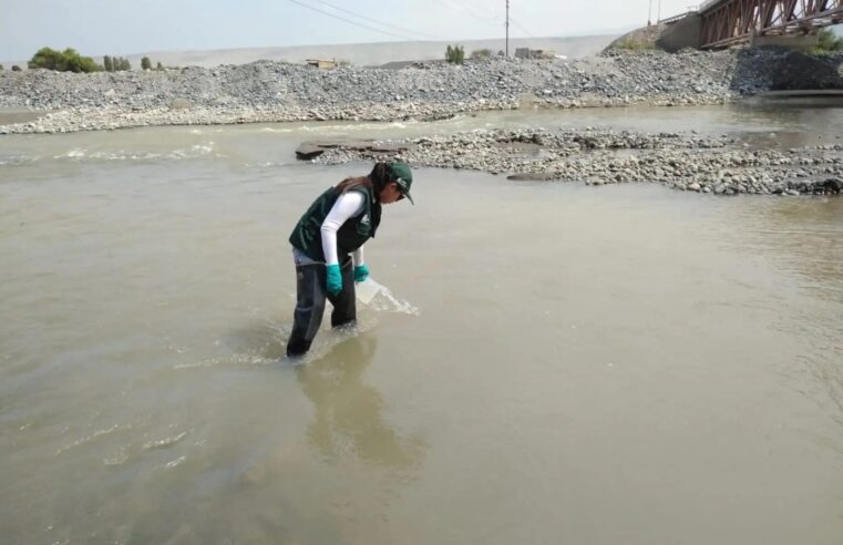 Propuesta científica busca reducir metales pesados en río Tambo
