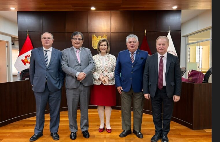 El Estado de derecho y los retos de la justicia constitucional