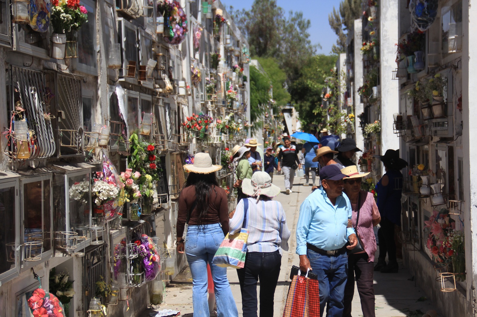 Por quién hoy doblan las campanas