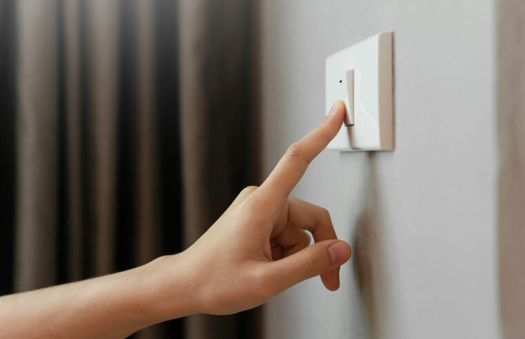 EL PODER DESCRIPTIVO EN “APAGA LA LUZ”