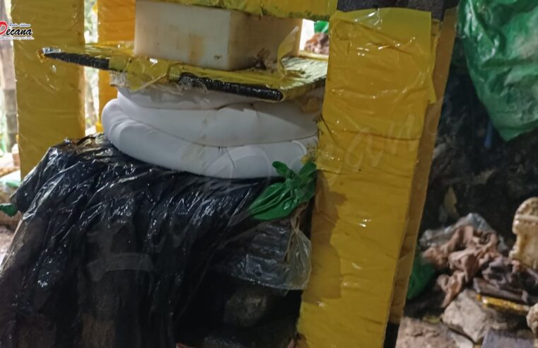 Incautan droga valorizada en 93 mil dólares y destruyen laboratorios