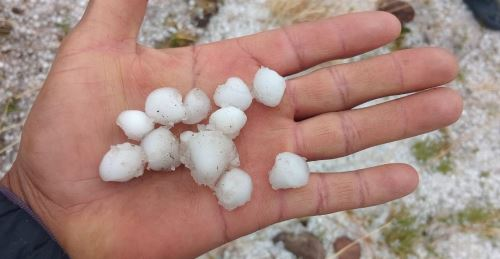 Eventos naturales afectan más de 4 000 hectáreas de cultivo