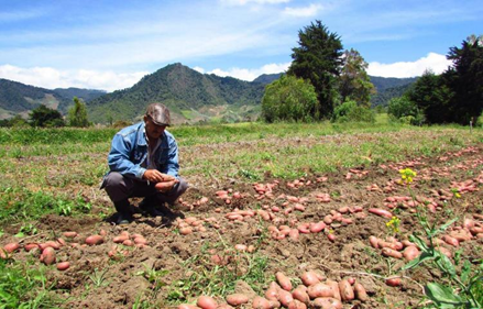 AREQUIPA. Pampacolca con precaria infraestructura de riego