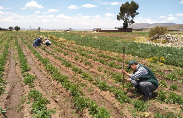 Retrasos en la priorización de proyectos agrícolas en Arequipa