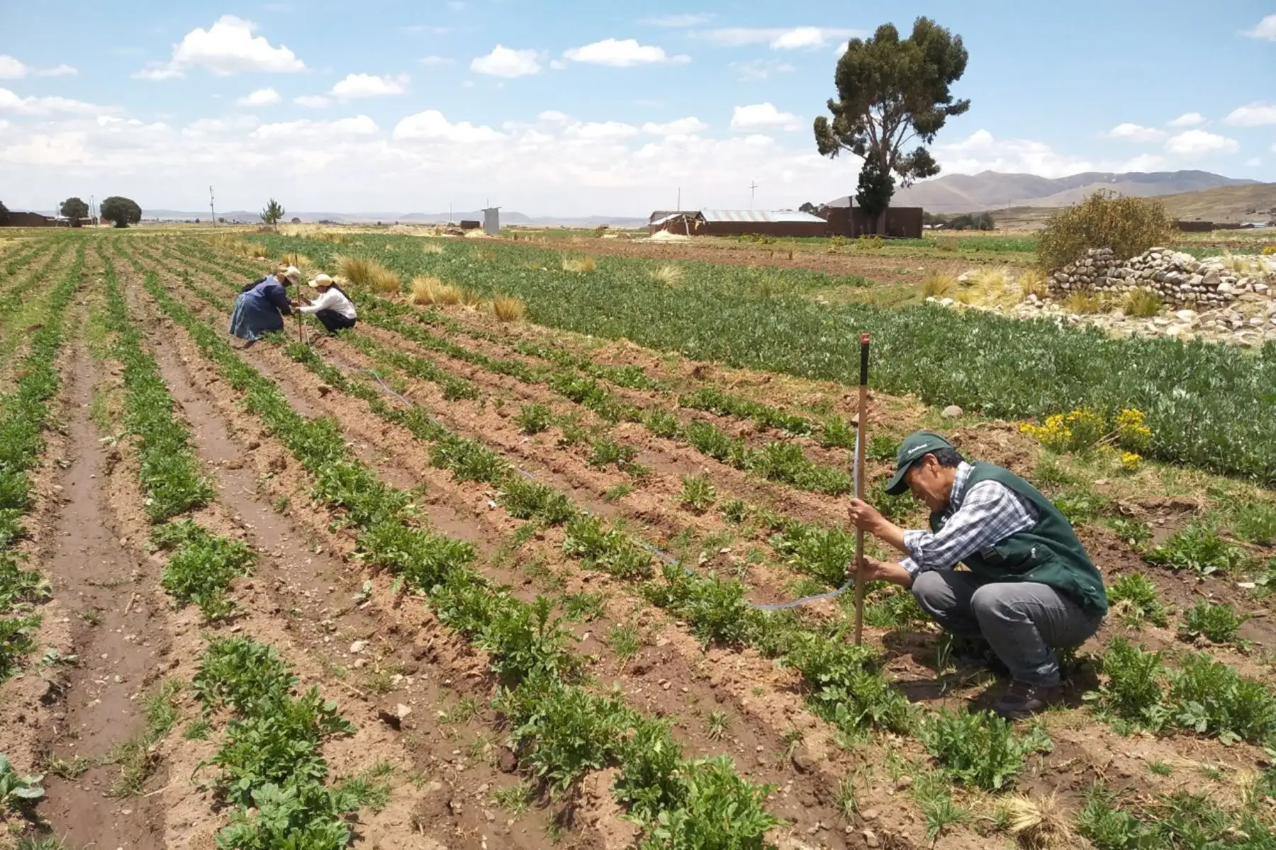 Retrasos en la priorización de proyectos agrícolas en Arequipa