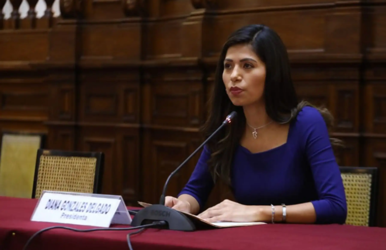 Gonzáles: «Ejecutivo es cómplice de nueva prórroga del Reinfo»