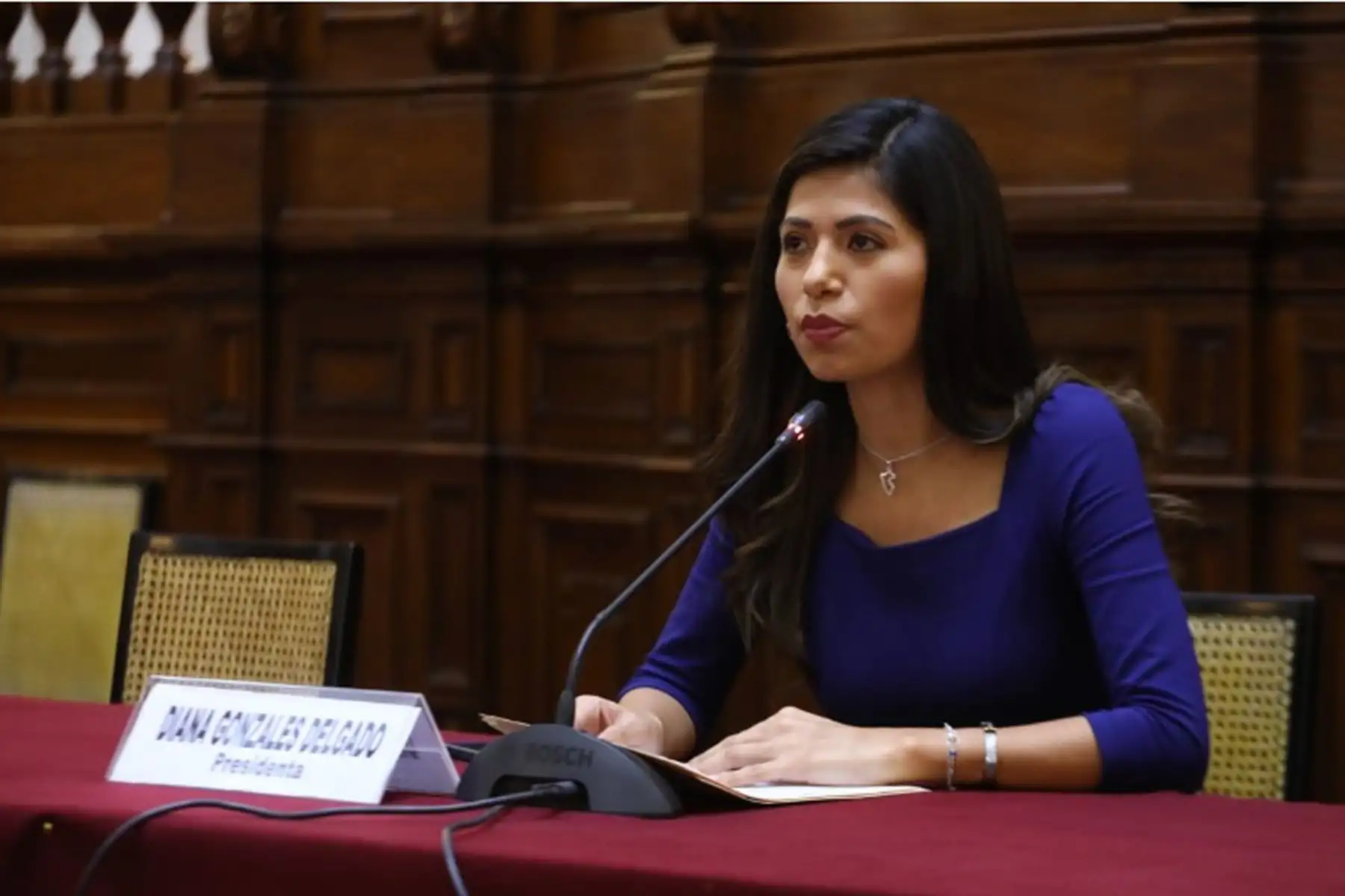 Gonzáles: «Ejecutivo es cómplice de nueva prórroga del Reinfo»