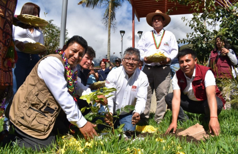 Instalarán más de 30 millones de plantones de árboles nativos