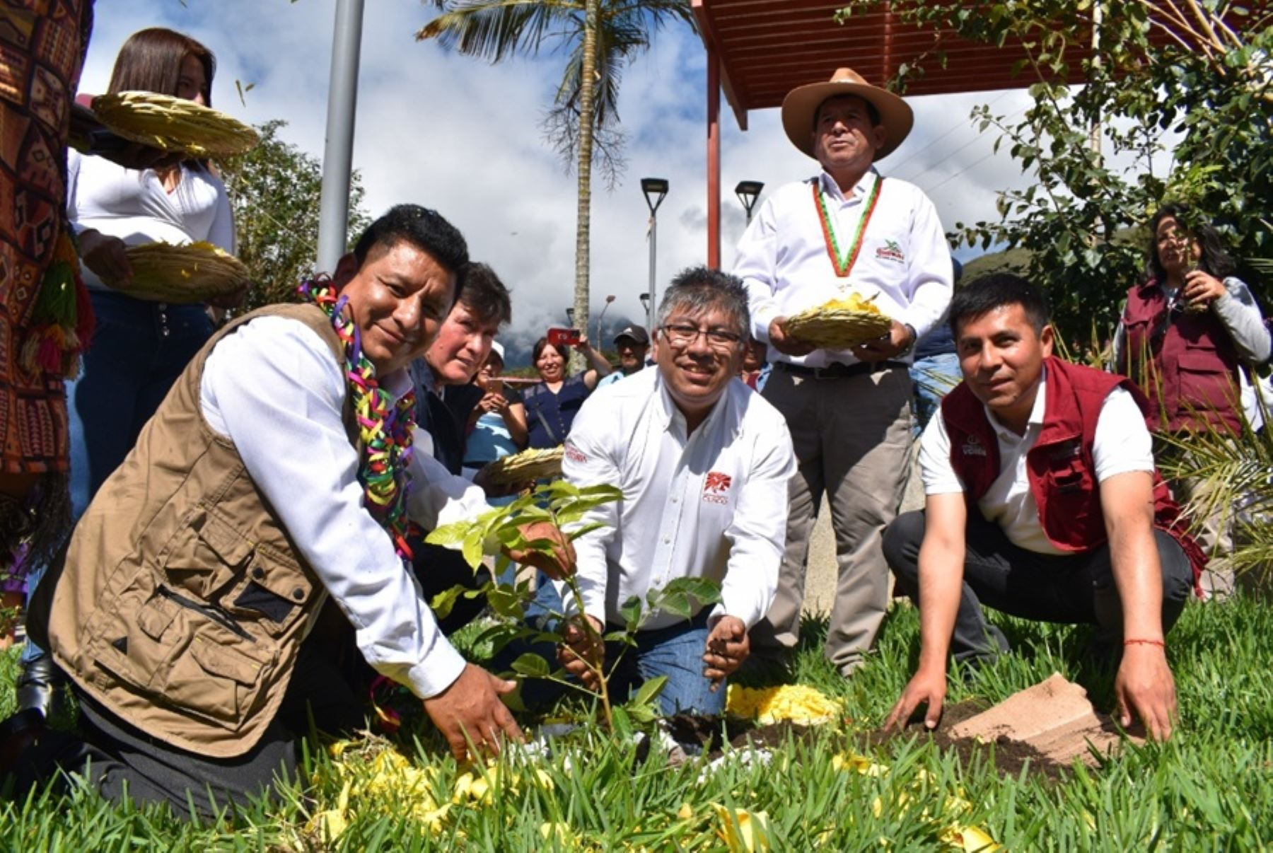 Instalarán más de 30 millones de plantones de árboles nativos