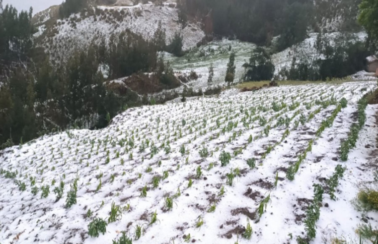 Fuerte granizada provoca colapso de techo deportivo y destruye cultivos