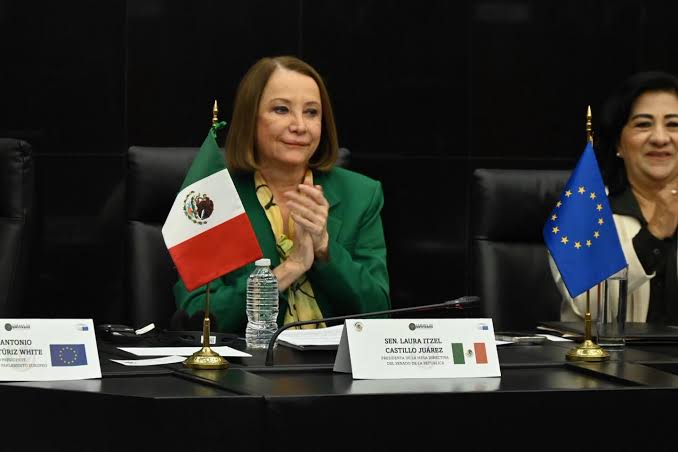 Presidenta del Senado mexicano negó intromisión en el Perú