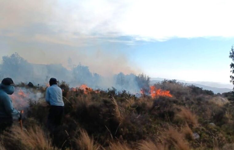 Alerta por incendios forestales y COER  pide apoyo del Ejército para sofocarlos